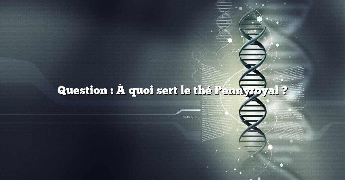 Question : À quoi sert le thé Pennyroyal ?
